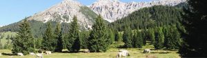 Randonnée en Bavière et Tyrol avec Chamina Voyages