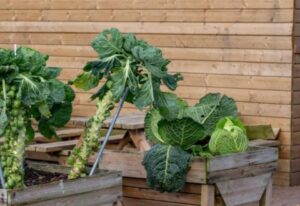 Bruxelles - VEFE - Carte des Voyages ATR